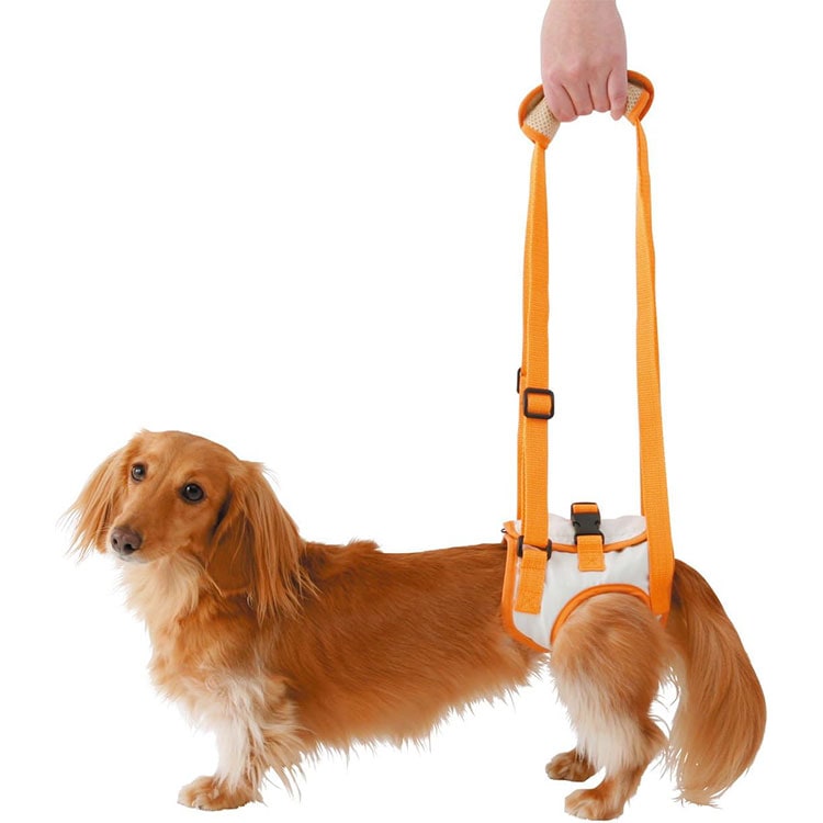 zuttone Ϸ������� �������ϡ��ͥ� ��­��K M������ �������� ������ ���˥����� Ϸ���� ���ѥϡ��ͥ� ����ѥϡ��ͥ� �Ǹ��ѥϡ��ͥ� ���Ѳ������ ���ѴǸ����� �ڥå��Ѳ������ �ڥå��ѴǸ����� ���äȤ� �ڥƥ��� Petio