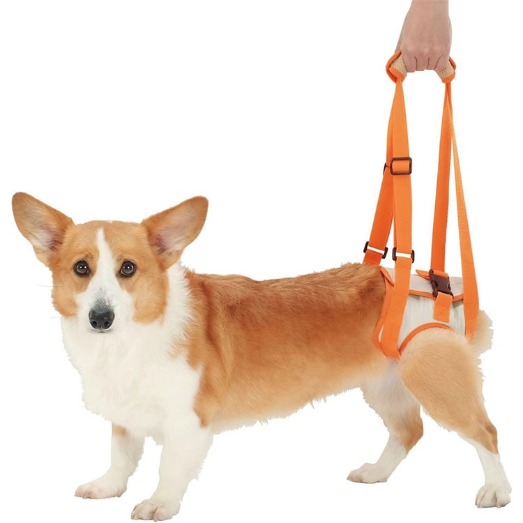 zuttone Ϸ������� �������ϡ��ͥ� ��­��K L������ �淿���� ������ ���˥����� Ϸ���� ���ѥϡ��ͥ� ����ѥϡ��ͥ� �Ǹ��ѥϡ��ͥ� ���Ѳ������ ���ѴǸ����� �ڥå��Ѳ������ �ڥå��ѴǸ����� ���äȤ� �ڥƥ��� Petio