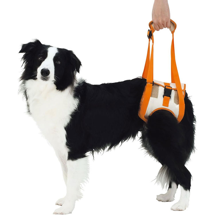 zuttone Ϸ������� �������ϡ��ͥ� ��­��K 2L������ �淿���� ������ ���˥����� Ϸ���� ���ѥϡ��ͥ� ����ѥϡ��ͥ� �Ǹ��ѥϡ��ͥ� ���Ѳ������ ���ѴǸ����� �ڥå��Ѳ������ �ڥå��ѴǸ����� ���äȤ� �ڥƥ��� Petio