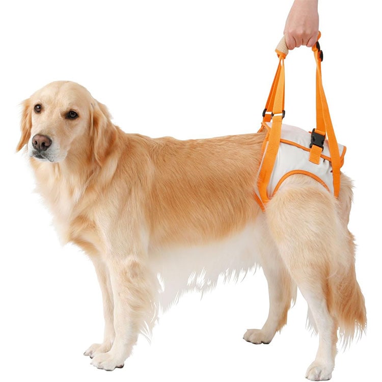 zuttone Ϸ������� �������ϡ��ͥ� ��­��K 3L������ �緿���� ������ ���˥����� Ϸ���� ���ѥϡ��ͥ� ����ѥϡ��ͥ� �Ǹ��ѥϡ��ͥ� ���Ѳ������ ���ѴǸ����� �ڥå��Ѳ������ �ڥå��ѴǸ����� ���äȤ� �ڥƥ��� Petio