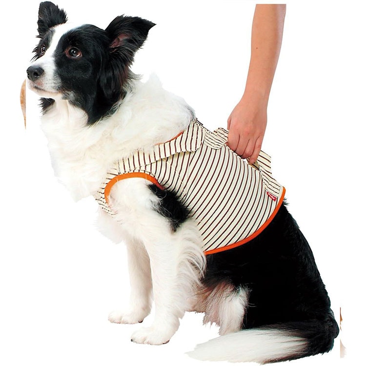 zuttone Ϸ������� �����ǽ�ե٥���K 2L������ �淿���� ������ ���˥����� Ϸ���� ���ѥ٥��� ����ѥ٥��� �Ǹ��ѥ٥��� ���Ѳ������ ���ѴǸ����� �ڥå��Ѳ������ �ڥå��ѴǸ����� ���äȤ� �ڥƥ��� Petio