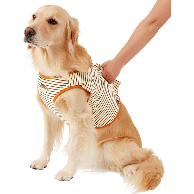 zuttone Ϸ������� �����ǽ�ե٥���K 3L������ �緿���� ������ ���˥����� Ϸ���� ���ѥ٥��� ����ѥ٥��� �Ǹ��ѥ٥��� ���Ѳ������ ���ѴǸ����� �ڥå��Ѳ������ �ڥå��ѴǸ����� ���äȤ� �ڥƥ��� Petio