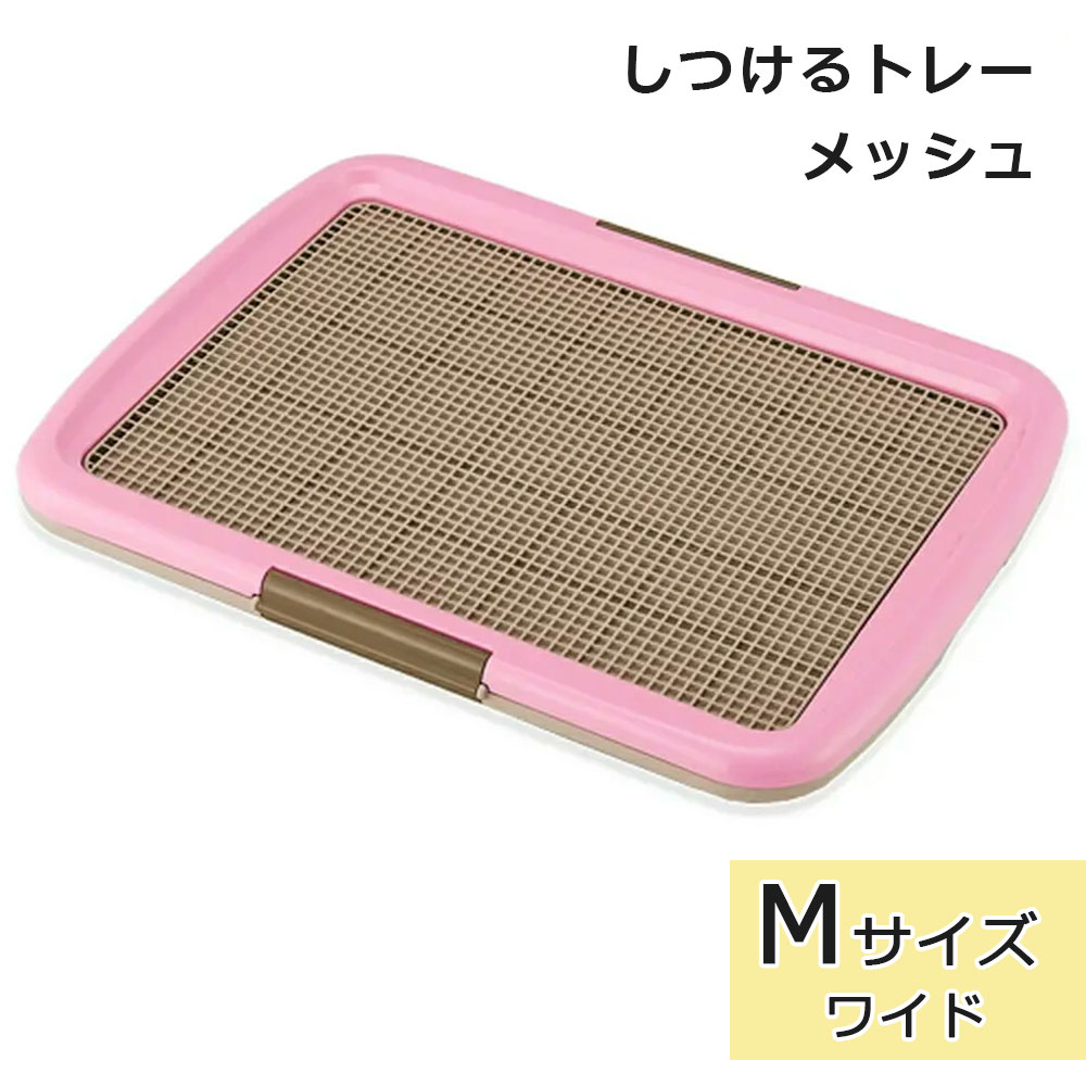 ���Ĥ���ȥ졼 ��å���ץ饹 M������ �ԥ� �磻�ɥ����� ���ѥȥ���ȥ졼 �ȥ������� ���Ĥ� ���������ɻ� �Ҥä����ɻ� �������� �淿���� �ܥ�ӥ��륳�� Bonbi