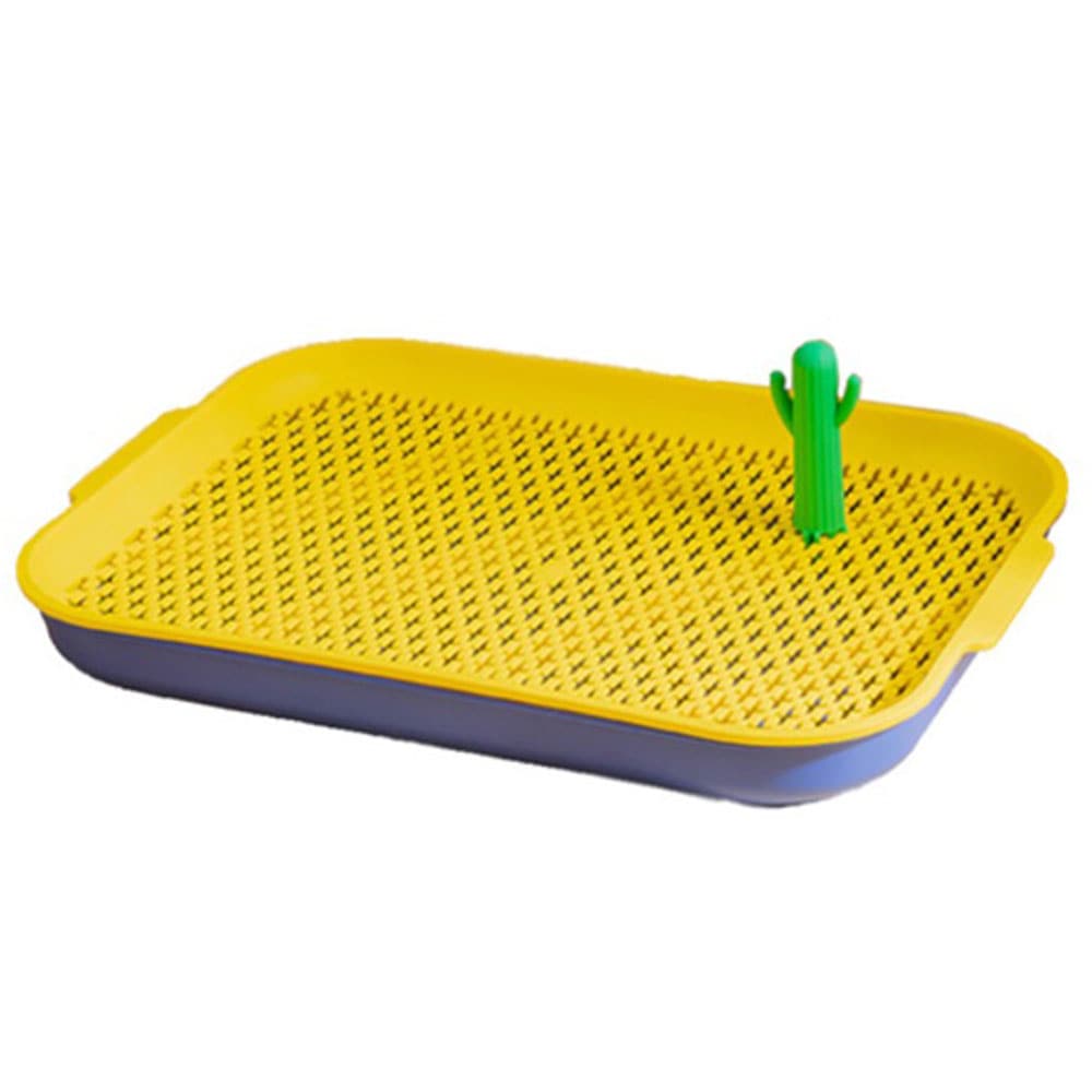 ���������ɥå��ȥ��� �쥮��顼 �������� �ȥ���ȥ졼 ���ѥȥ������� ������ ��å��� ���ӻ���ˤ��� ������� �Ҹ��� Ķ�������� �������� �ѥԡ� �ȥ���ȥ졼�˥� �ޡ����󥰥ݡ��� �ڥƥ��ե����� Petifam