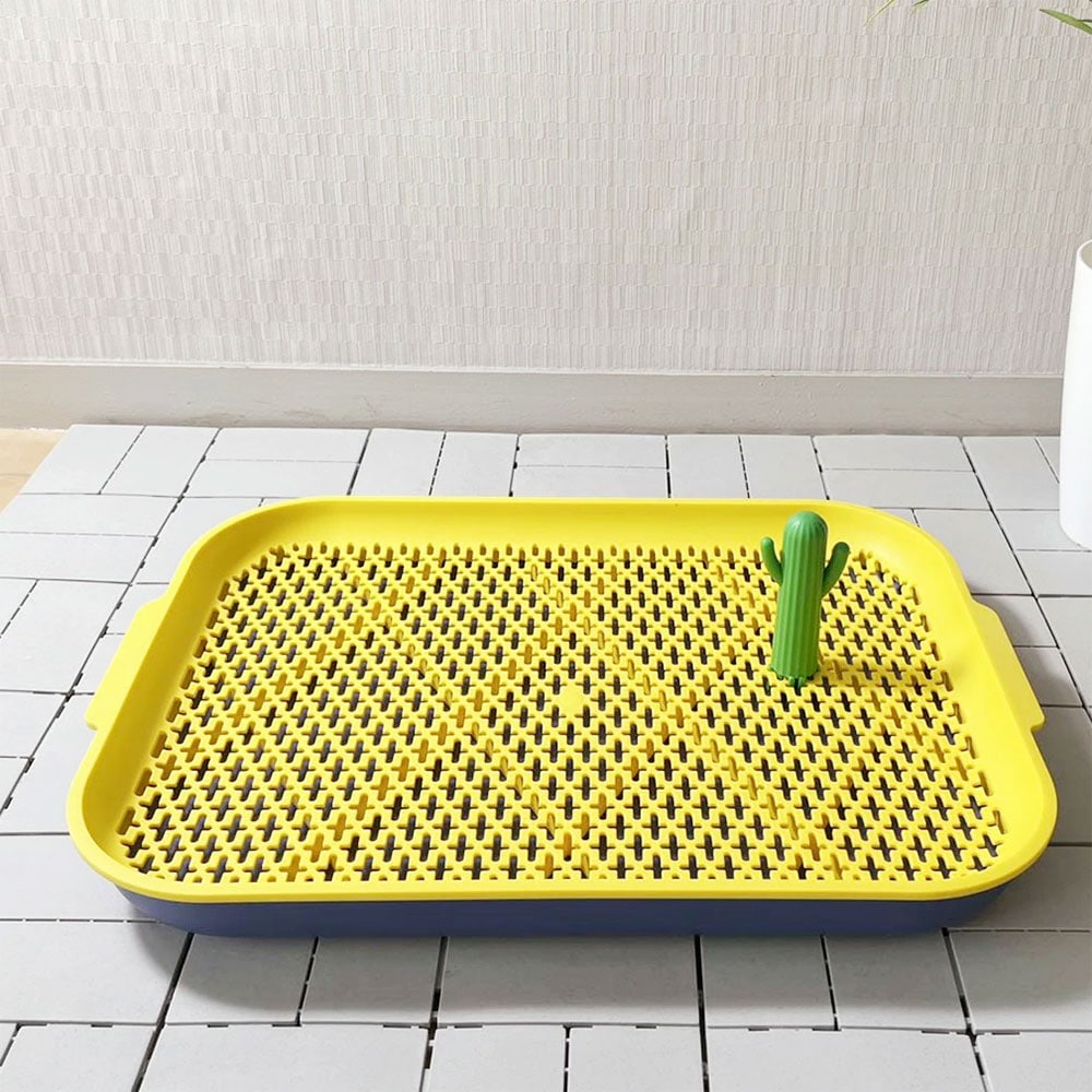 ���������ɥå��ȥ��� �磻�� �������� �ȥ���ȥ졼 ���ѥȥ������� ������ ��å��� ���ӻ���ˤ��� ������� �Ҹ��� Ķ�������� �������� �ѥԡ� �ȥ���ȥ졼�˥� �ޡ����󥰥ݡ��� �ڥƥ��ե����� Petifam