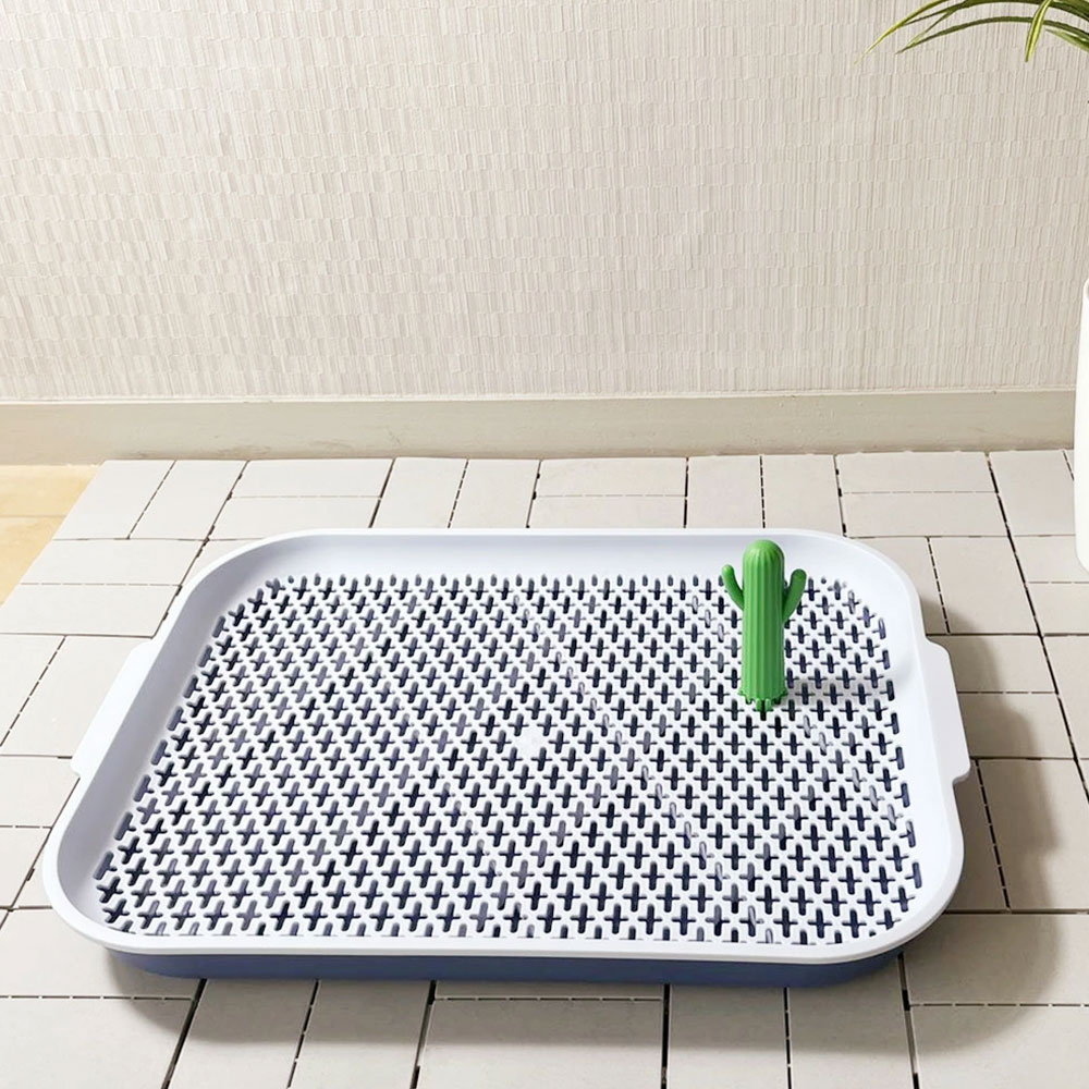 ���������ɥå��ȥ��� �磻�� �֥롼�ȥ���ȥ졼 ���ѥȥ������� ������ ��å��� ���ӻ���ˤ��� ������� �Ҹ��� Ķ�������� �������� �ѥԡ� �ȥ���ȥ졼�˥� �ޡ����󥰥ݡ��� �ڥƥ��ե����� Petifam