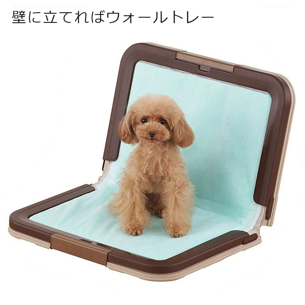 6個セット]しつけるトレー ツーウェイ ブラウン ワイドサイズ 男の子用