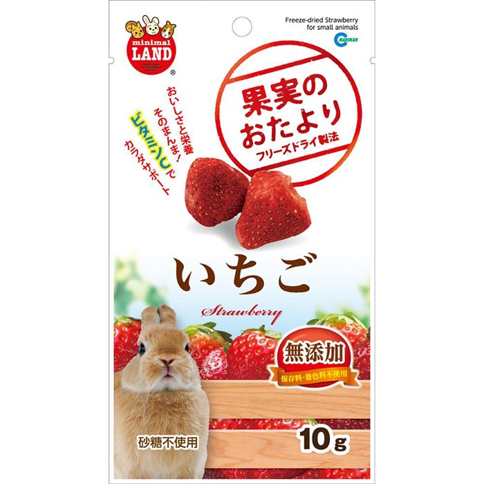 果実のおたより いちご 10g 小動物用フード おやつ うさぎ モルモット