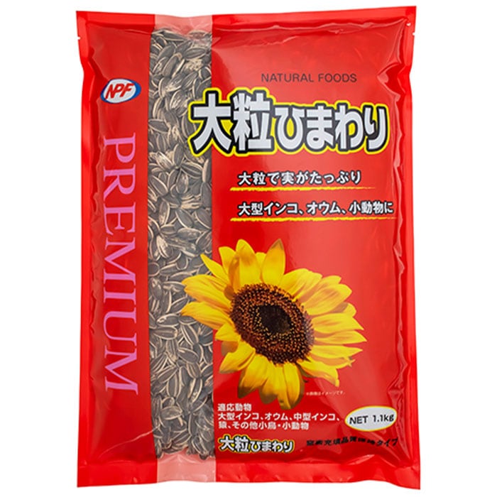 ץߥγҤޤ 1.1kg ưʪѥա  ֿ 緿  淿  Ļ ʥڥåȥա