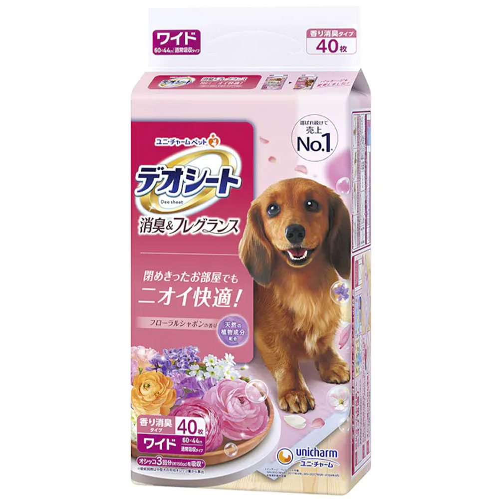 ǥ ýե쥰 ե륷ܥι 磻ɥ 40 ڥåȥ ڥåȥ ѥ ѥȥ쥷 ȥ쥷 ä ä ȥ ý  ˥㡼