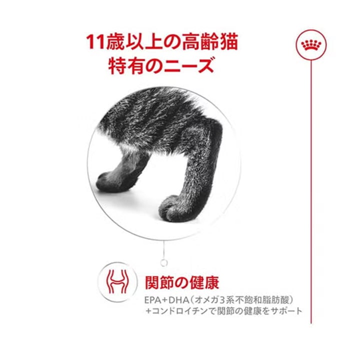 ロイヤルカナン エイジング 11+ 2kg 11歳以上 高齢猫用 全猫種用