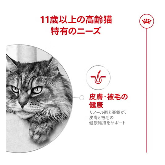 ロイヤルカナン エイジング 11+ 2kg 11歳以上 高齢猫用 全猫種用