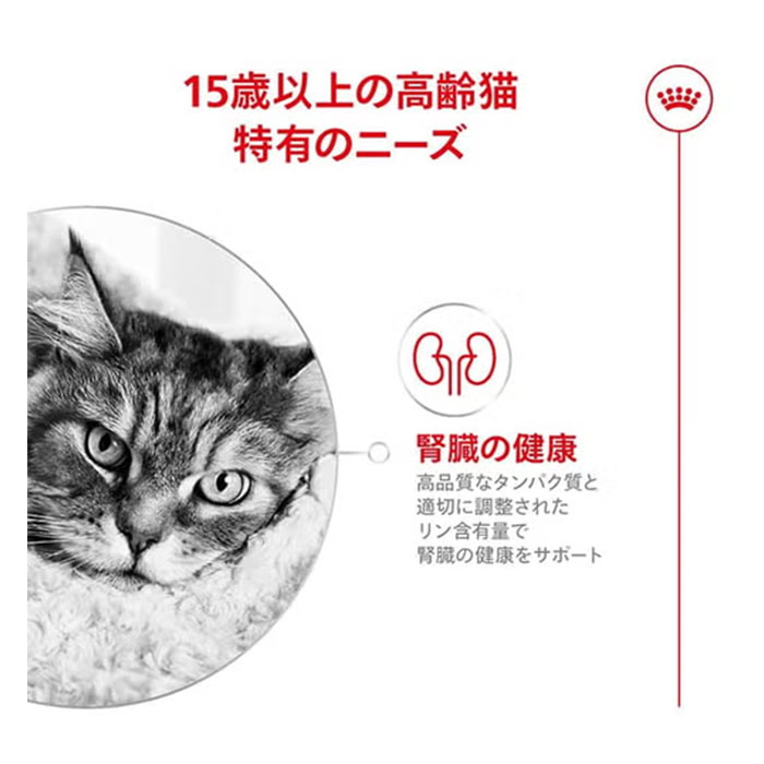 ロイヤルカナン エイジング 15+ 400g 15歳以上 超高齢猫用 全猫種用