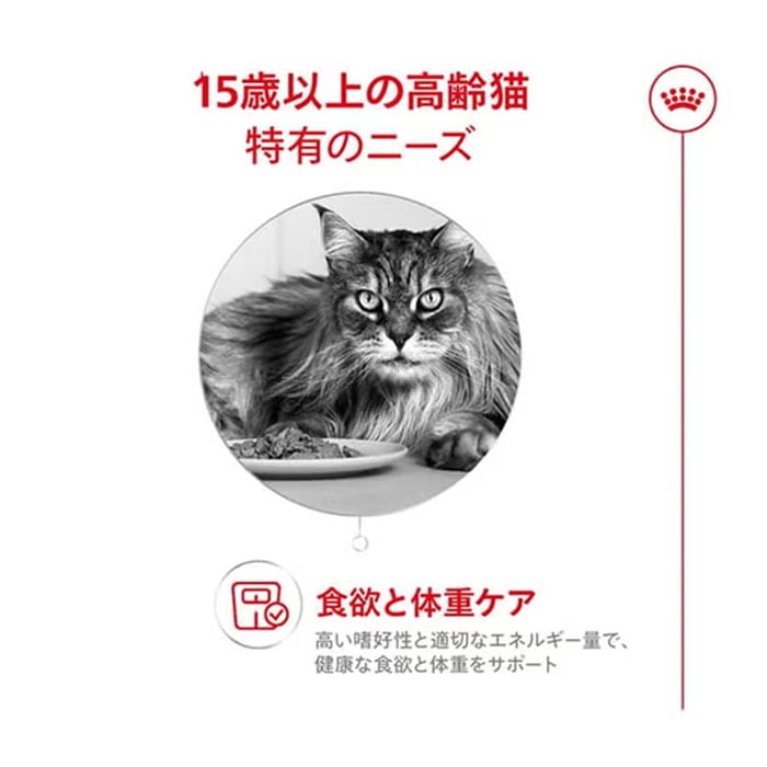ロイヤルカナン エイジング 15+ 2kg 15歳以上 超高齢猫用 全猫種用