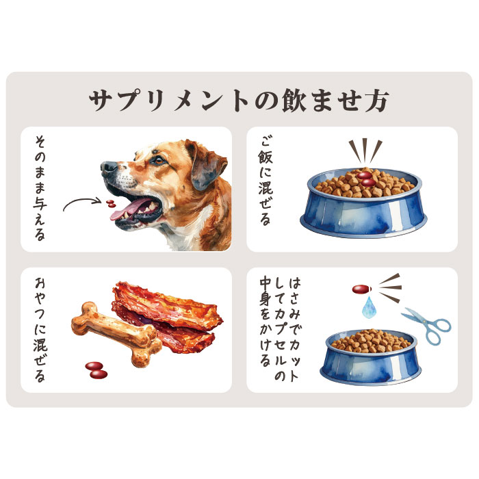 メモトキレイ 犬猫用サプリメント 90粒入り 目の健康維持 目のサプリ