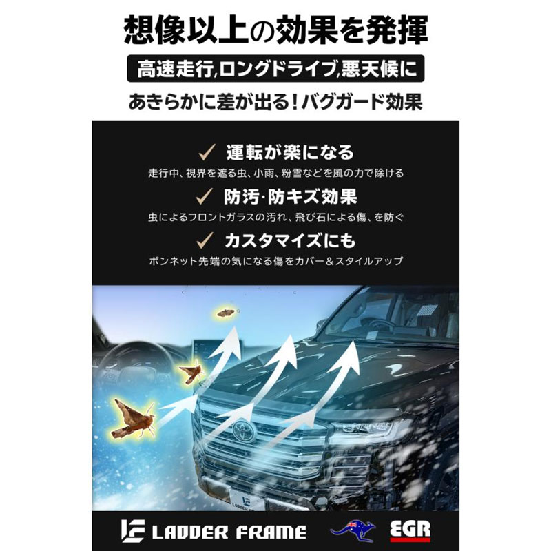EGR Хɡʥޥåȥ֥å˥ɥ롼300 / EGR緿ʡ