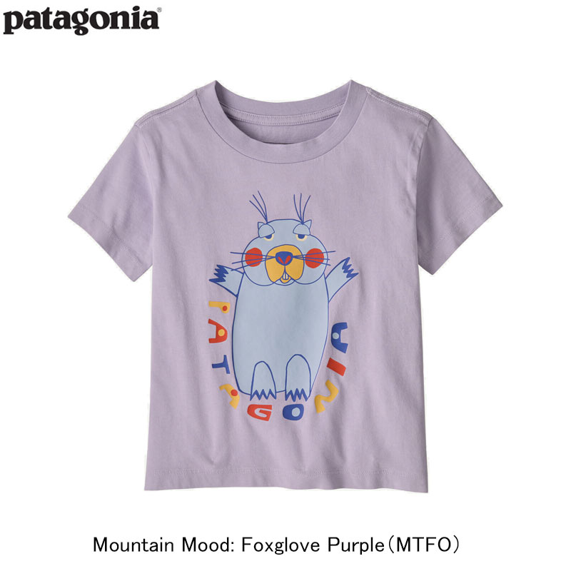 ٥ӡեåT 60389 / patagonia ѥ˥