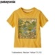 ٥ӡեåT 60389 / patagonia ѥ˥