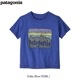٥ӡեåĥT 60421 / patagonia ѥ˥