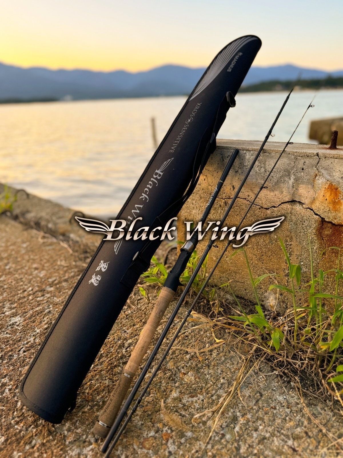 G-TEC �֥�å������� XBWC-67 �ե�åץ��㥹�ȥ��ڥ���� �����ƥå� BlackWing XBWC-67 The"Flip Cast Special"