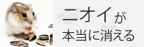 �ߥ饯�꡼��P �ڥå��Ѿý��� 500ml �ڥåȽ������ˡ����ӡ��ٶ� / �ϡ��ѡ��٥󥽥�