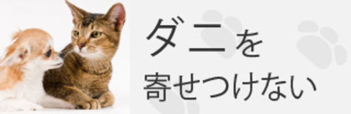 �ߥ饯�꡼��P �ڥå��Ѿý��� 500ml �ڥåȽ������ˡ����ӡ��ٶ� / �ϡ��ѡ��٥󥽥�