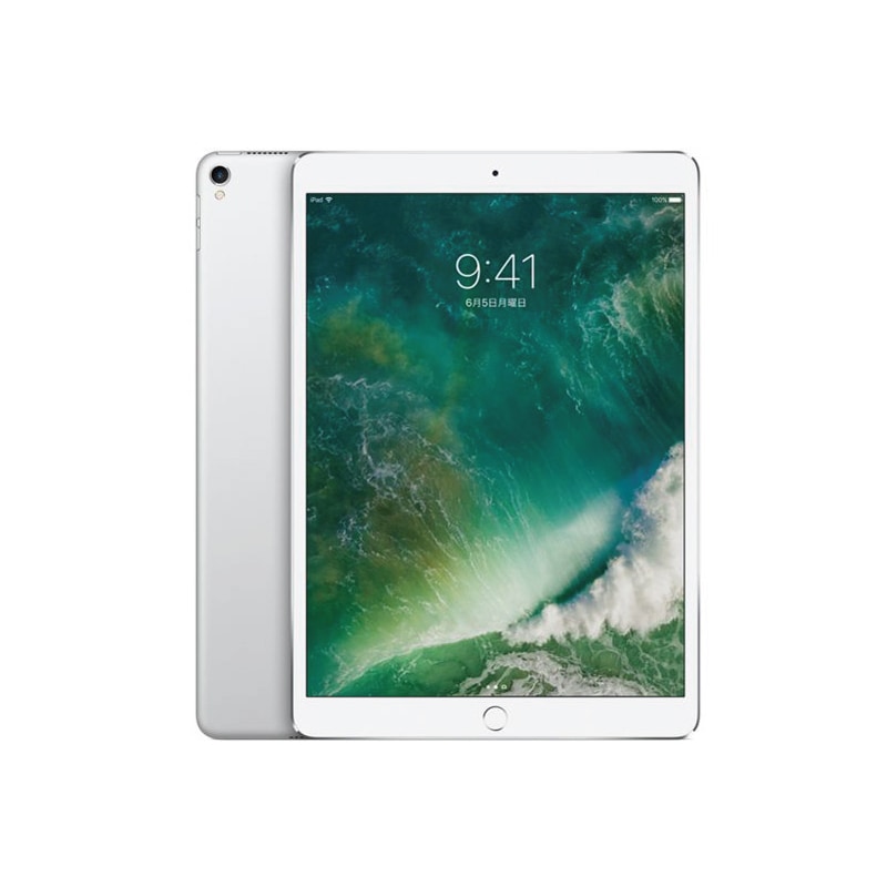 Apple iPad 本体 シルバー Apple iPad 本体 新品 第11世代 11型 IPS