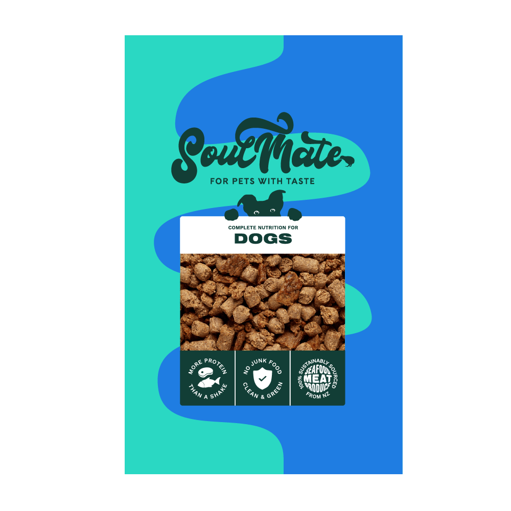 SoulMate DOG　ベイクド＆エアドライフード チキン 40g