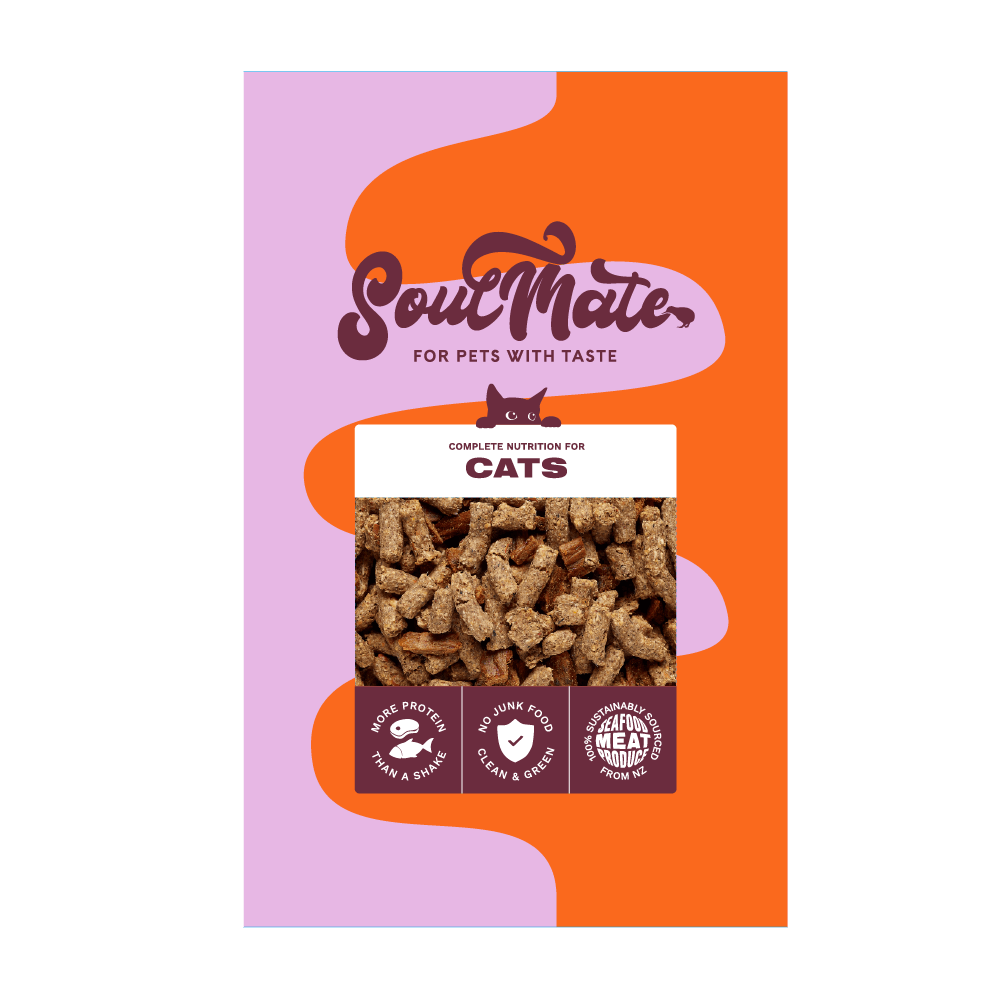 SoulMate CAT ベイクド＆エアドライフード チキン 40g