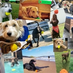 ワンダーボール　Mサイズ　ピンク