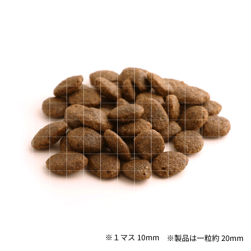 フィッシュ４ドッグ　サーモン　大粒　1.5kg