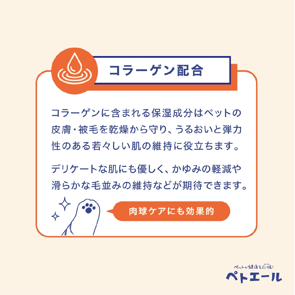ペトエール 50枚入