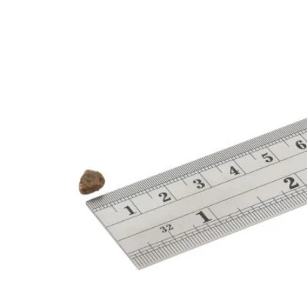 トイブリード　超小粒　1.5kg