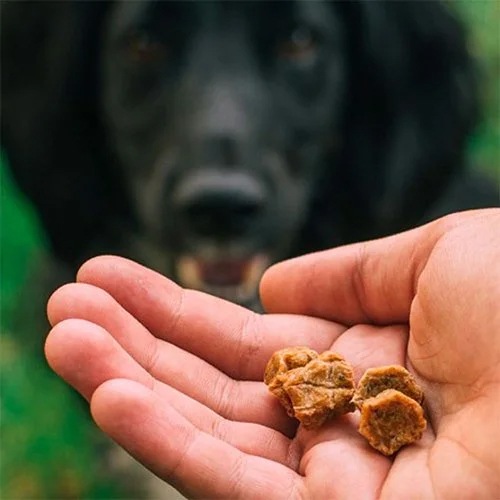 トライバル エアドライトリーツ トラウト 80g