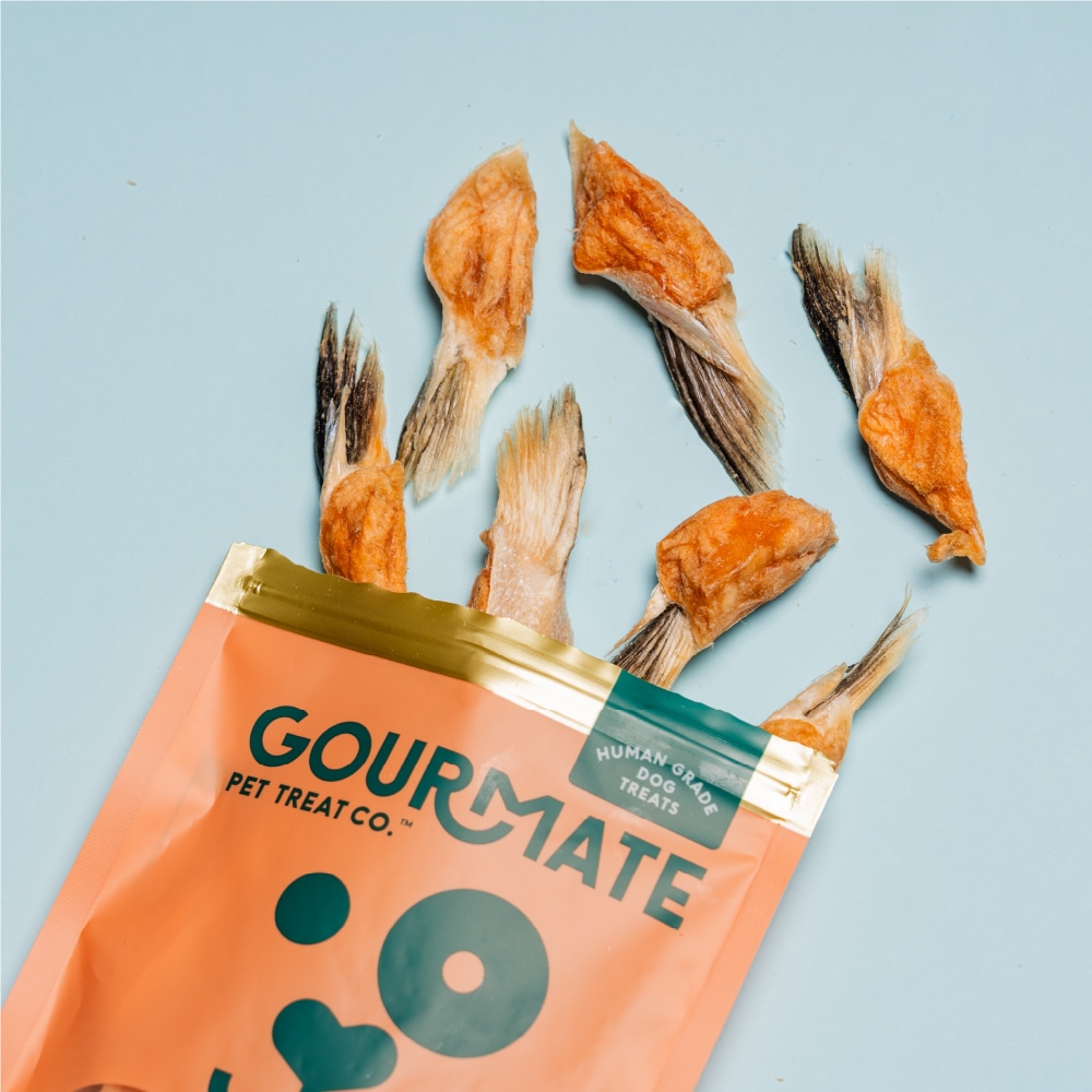 GOURMATE　アルパインサーモン　100g