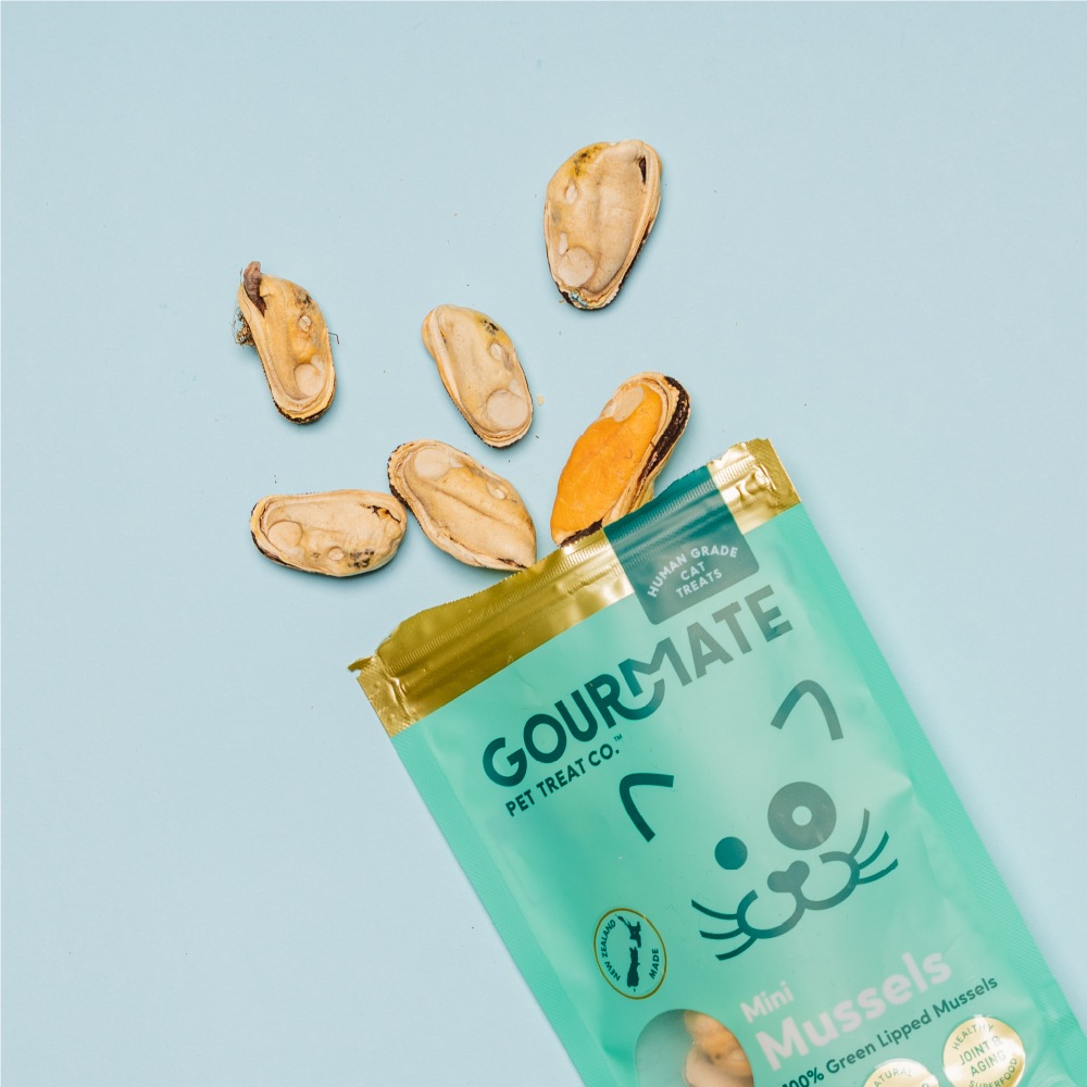 GOURMATE　ミニ・緑イ貝　25g