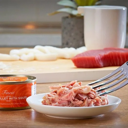 猫缶 ツナ＆イカ TUNA FILLET WITH SQUID　70g