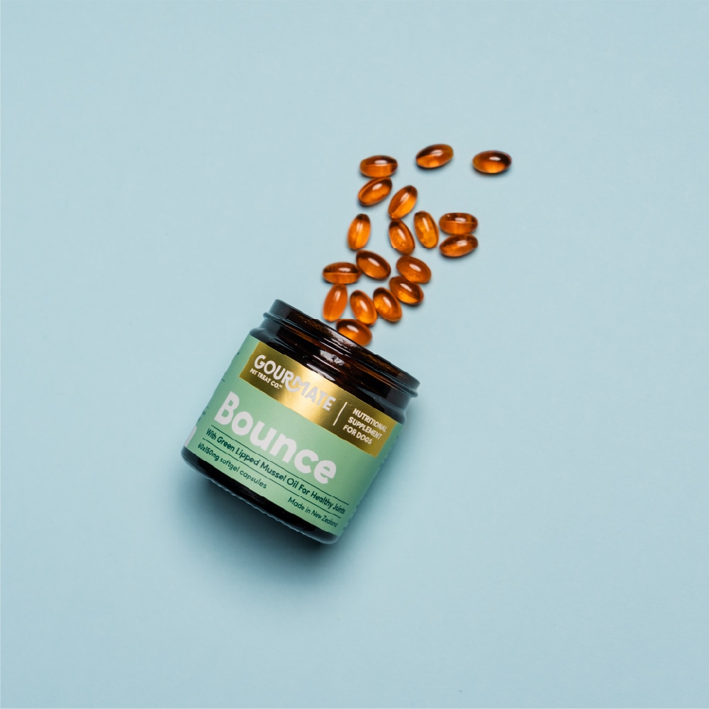 GOURMATE　Bounce/バウンス　関節・脳機能サポート＜ソフトカプセル＞