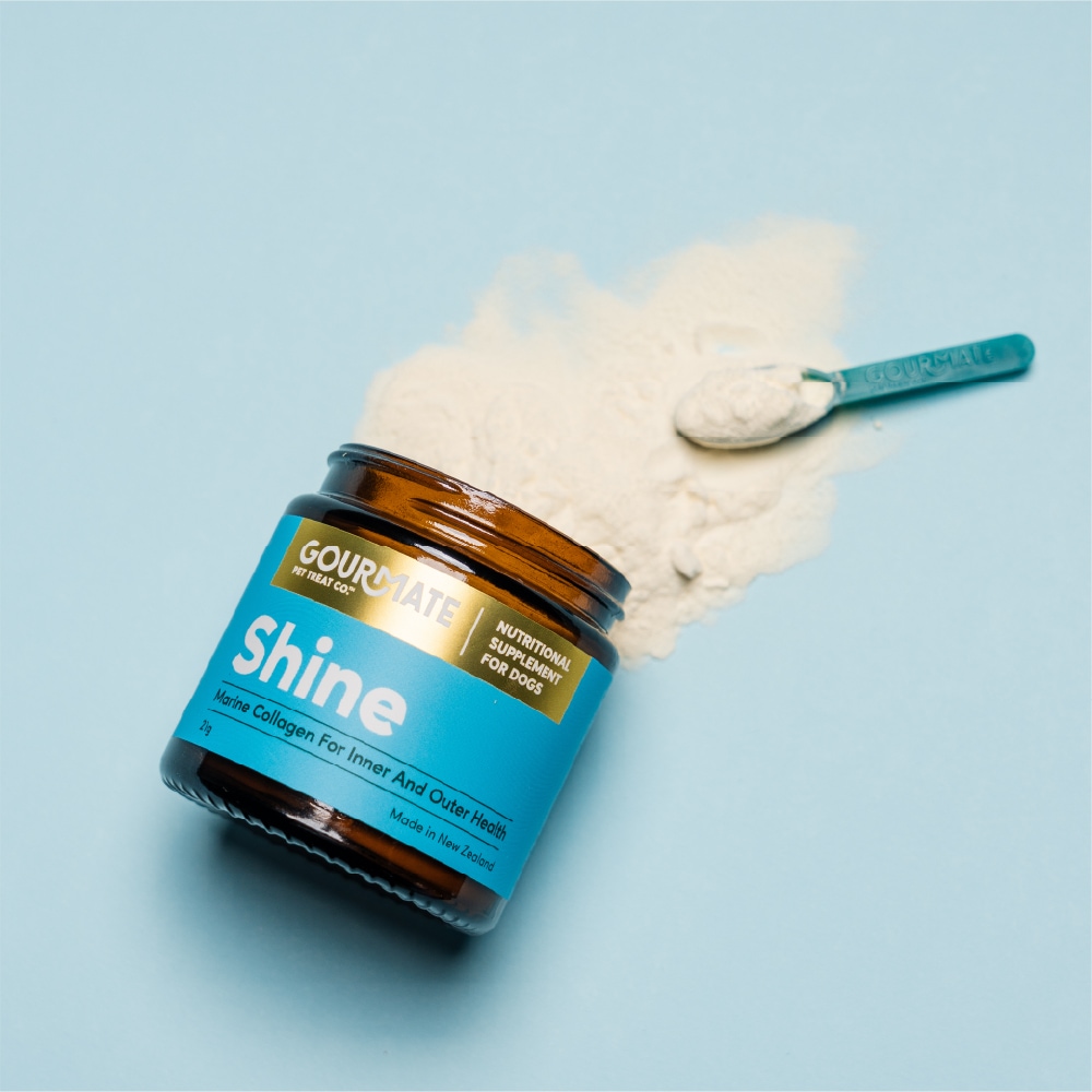 GOURMATE　Shine/シャイン　皮膚・被毛・消化器サポート＜パウダー＞