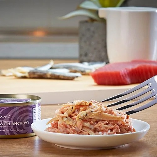 猫缶 ツナ＆アンチョビ TUNA FILLET WITH ANCHOVY　70g