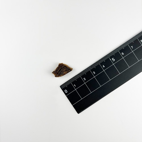 SoulMate CAT エアドライフード シーフード 30g