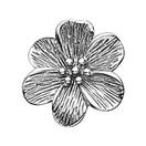 STORY by Kranz & Ziegler ���ȡ��꡼�������ġ������ �ĥ������顼��Charm ���㡼�� 4008952