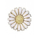 STORY by Kranz & Ziegler ���ȡ��꡼�������ġ������ �ĥ������顼��Charm ���㡼�� 5408867