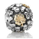 PANDORA �ѥ�ɥ� CHARM ���㡼�� 790387
