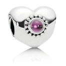 PANDORA �ѥ�ɥ� CHARM ���㡼�� 790573RHL
