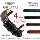 ץ٥ ץХ  ӻѥ٥ȸ 顼PLUS U3252480