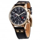 Carl von Zeyten �����롦�ե��󡦥ĥ����ƥ� �ӻ��� ��ư�����ʼ괬����ǽ����� [CvZ0050GBK]