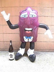 ����1M��1980��s ����ե���˥��졼���� �Х롼�� �ӥ�ơ��� Vintage