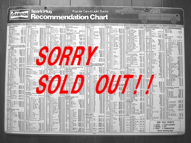 1980��s CHAMPION �����ԥ��� �ץ饰 ���㡼��ɽ �ӥ�ơ��� ��