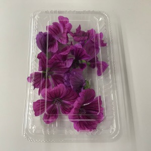 ڵꡦեåϡ֡ۥޥ 1ѥå